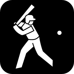 Icon Baseball / Softball