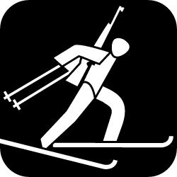 Icon Biathlon