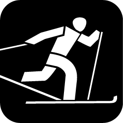 Icon Skisport
