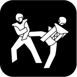 Icon Taekwondo