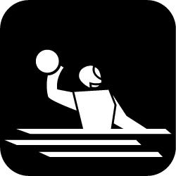 Icon Wasserball